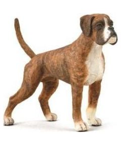 Figurka Collecta COLLECTA PIES BOXER Figūriņas un varoņi