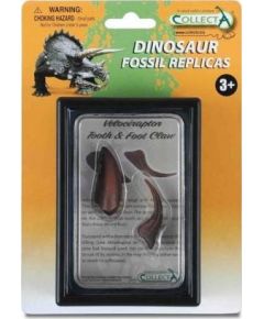 Figurka Collecta COLLECTA ZĄB I PAZUR KOŃCZYNY DOLNEJ VELOCIRAPTORA W OPAKOWANIU Figūriņas un varoņi