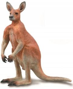 Figurka Collecta COLLECTA CZERWONY KANGUR SAMIEC Figūriņas un varoņi