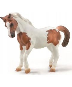 Figurka Collecta COLLECTA CHINCOTEAGUE PONY MAŚCI KASZTANOWATEJ PINTO Figūriņas un varoņi