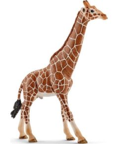 Figurka Schleich Samiec żyrafy (14749) Фигурки и герои