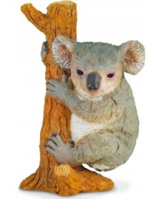 Figurka Collecta MIŚ KOALA WSPINAJĄCY SIĘ - CollectA - 88356 - M Figūriņas un varoņi