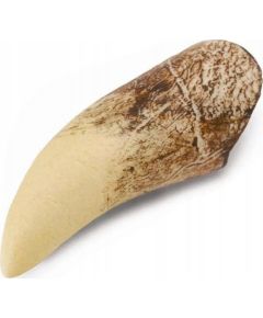 Figurka Collecta ZĄB TYRANOZAURA W PUDEŁKU - CollectA - 89281 Фигурки и герои