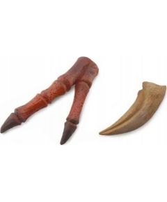 Figurka Collecta PAZUR I KOŃCZYNA TYRANOZAURA - CollectA - 89289 Figūriņas un varoņi