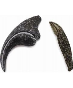 Figurka Collecta ZĄB I PAZUR ALLOZAURUSA - CollectA - 89288 Фигурки и герои