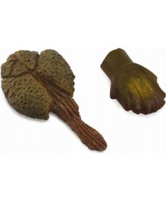 Figurka Collecta ZĄB I OGON ANKYLOZAURA - CollectA - 89287 Фигурки и герои