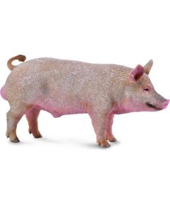 Figurka Collecta BOAR Figūriņas un varoņi