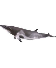 Figurka Collecta MINKE WHALE Фигурки и герои