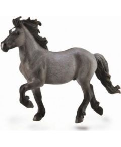 Figurka Collecta KOŃ BLUE DUN ICELANDIC STAILLION Figūriņas un varoņi