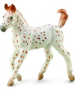 Figurka Collecta KOŃ KNABSTRUPPER FOAL Figūriņas un varoņi