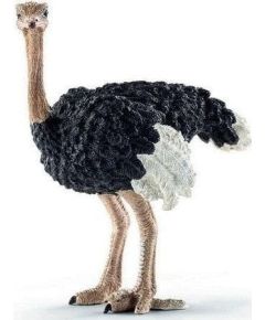 Figurka Collecta *STRUŚ Фигурки и герои