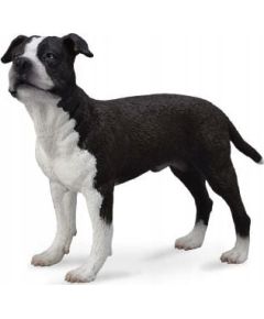 Figurka Collecta PIES AMERICAN STAFFORDSHIRE TERRIER Фигурки и герои