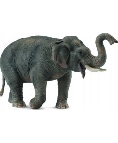 Figurka Collecta *SŁOŃ AZJATYCKI Figūriņas un varoņi