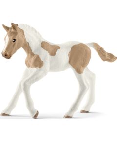 Figurka Schleich Koń Paint horse foal (SLH13886 ) Фигурки и герои