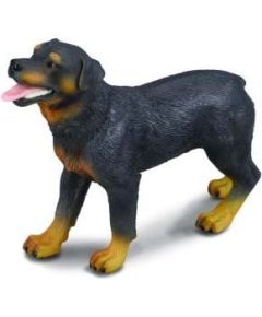 Figurka Collecta Pies rasy Rottweiler (004-88189) Figūriņas un varoņi