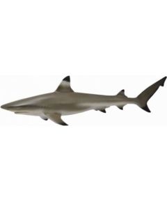 Figurka Collecta Żarłacz Rafowy Czarnopłetwy (004-88726) Figūriņas un varoņi