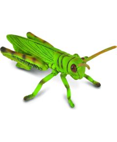 Figurka Collecta Konik polny (004-88352) Figūriņas un varoņi