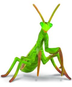 Figurka Collecta Modliszka (004-88351) Figūriņas un varoņi