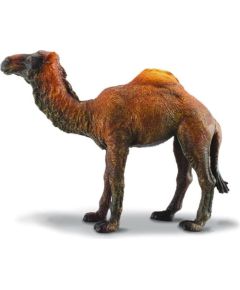 Figurka Collecta Wielbłąd Jednogarbny (004-88208) Figūriņas un varoņi