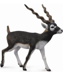 Figurka Collecta Antylopa Blackbuck (004-88638) Figūriņas un varoņi