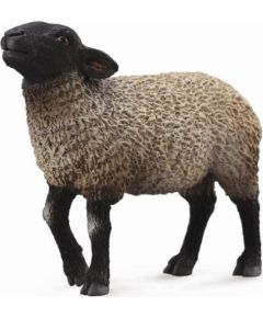 Figurka Collecta Owca Suffolk (004-88636) Figūriņas un varoņi