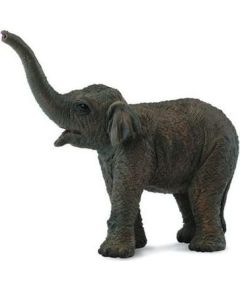 Figurka Collecta Słoniątko azjatyckie (004-88487) Figūriņas un varoņi