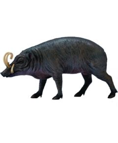 Figurka Collecta Figurka - Babyrousa (004-88727) Figūriņas un varoņi