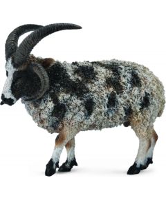 Figurka Collecta Owca wielkoroga (004-88728) Figūriņas un varoņi