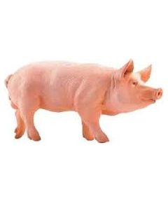 Russell Hobbs Figurka Russell Świnia - Papo (51044) Figūriņas un varoņi