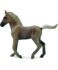 Figurka Collecta Źrebię rasy Rocky Mountain (COLL0509) Figūriņas un varoņi