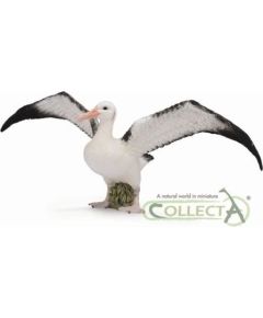 Figurka Collecta Albatros Wędrowny Figūriņas un varoņi