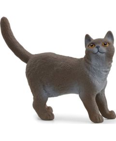Figurka Schleich Schleich 13973 Kot brytyjski króktowłosy Фигурки и герои