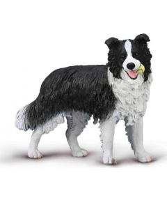 Figurka Collecta Collecta border collie 80012 00127 Фигурки и герои