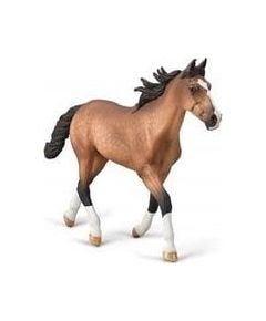 Figurka Collecta COLLECTA OGIER STANDARDBRED PACER MAŚCI GNIADEJ Фигурки и герои