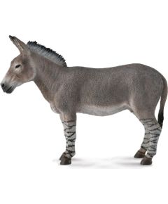 Figurka Collecta Osioł afrykański (004-88664) Figūriņas un varoņi