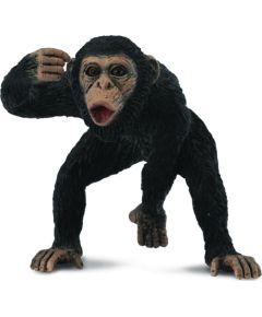 Figurka Collecta Szympans samiec 88492 COLLECTA - 004-88492 Figūriņas un varoņi