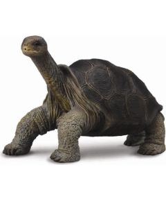 Figurka Collecta Żółw z Wyspy Pinta (004-88619) Figūriņas un varoņi