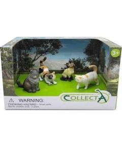 Figurka Collecta COLLECTA ZESTAW 4 KOTÓW W OPAKOWANIU (88327, 88331, 88491, 88937) Figūriņas un varoņi