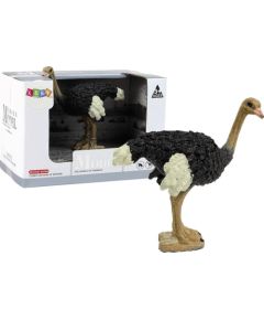 Figurka LeanToys Figurka kolekcjonerska Struś Seria Zwierzęta Świata Figūriņas un varoņi