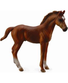Figurka Collecta Źrebię Thoroughbred (88671) Figūriņas un varoņi