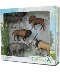 Figurka Collecta Zestaw 5 dzikich zwierząt w opakowaniu 89674 COLLECTA Фигурки и герои
