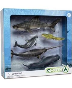Figurka Collecta Zestaw 5 morskich zwierząt w opakowaniu 89671 COLLECTA Фигурки и герои