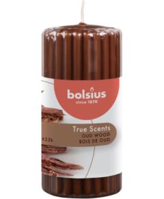 Bolsius Ароматическая свеча-цилиндр True Scents Ø120x58 мм из удового дерева Свечи и подсвечники