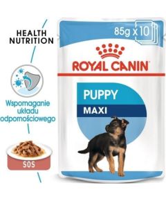 Royal Canin Royal Canin Maxi Puppy karma mokra dla szczeniąt, od 2 do 15 miesiąca życia, ras dużych saszetka 140g Suņu barība