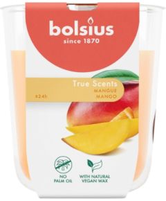 Bolsius Ароматизированная свеча в стеклянной баночке True Scents, диаметр 80 x 73 мм, цвет манго. Свечи и подсвечники