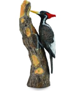 Figurka Collecta Dzięcioł Wielkodzioby w rozmiarze L (004-88802) Figūriņas un varoņi