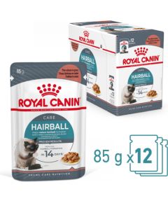 ROYAL CANIN FCN Hairball Care chunks in gravy - wet cat food - 12x85 g Kaķu konservi