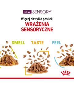 Karma Royal Canin Sensory Feel gravy 12x85g Kaķu konservi