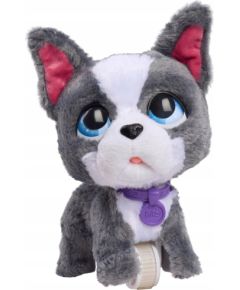 Hasbro *****FRF Buldog Francuski chodzący na smyczy 81617 Mīkstās rotaļlietas