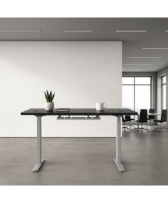 Adjustable Height Table Up Up Bjorn Gray, Table top M Black Biroja galdi